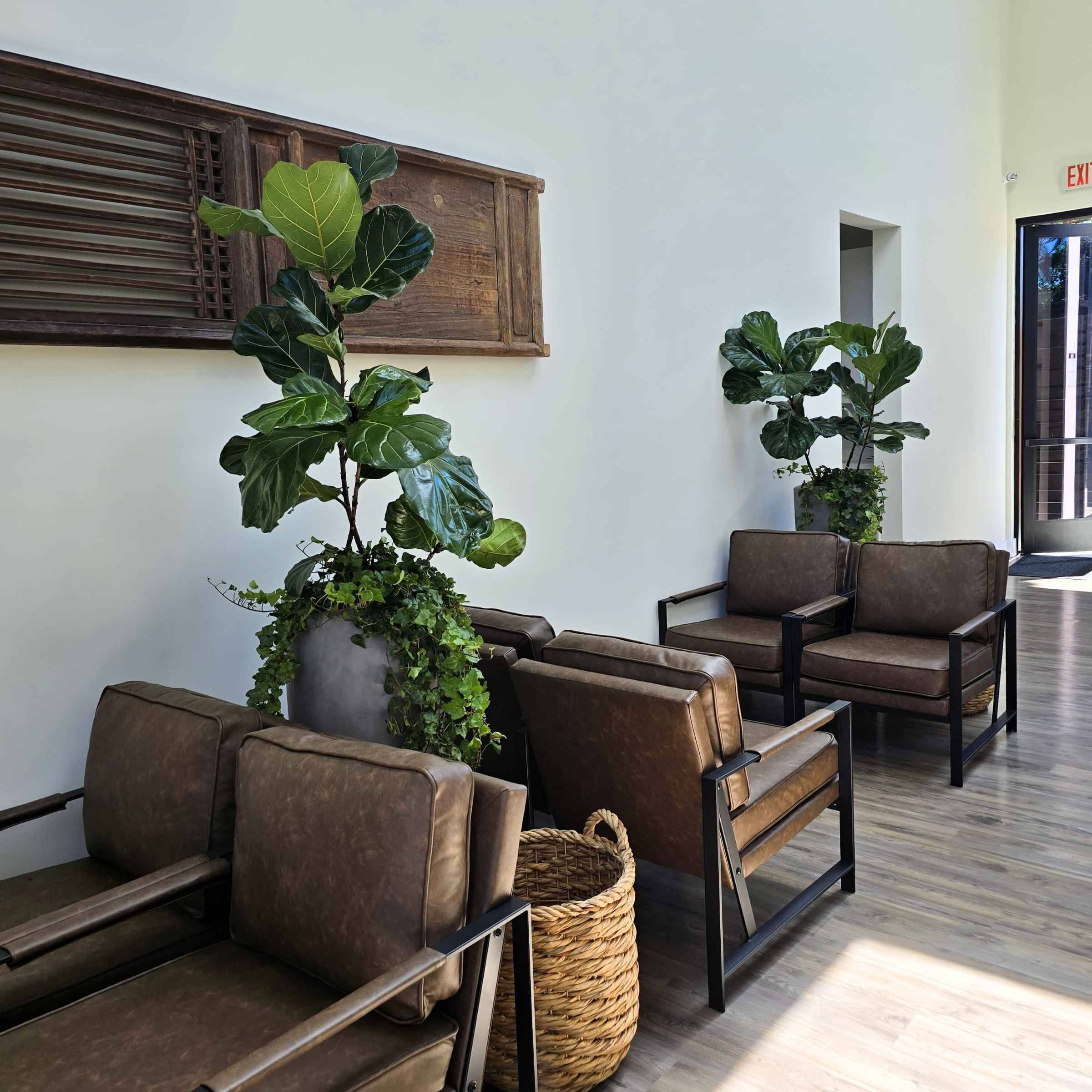 Interior Plant Services in Bankers Hill