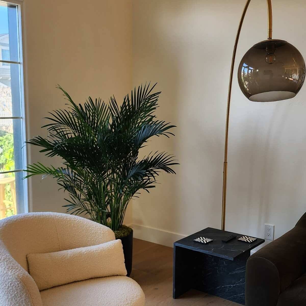 Professional interior plant care San Diego