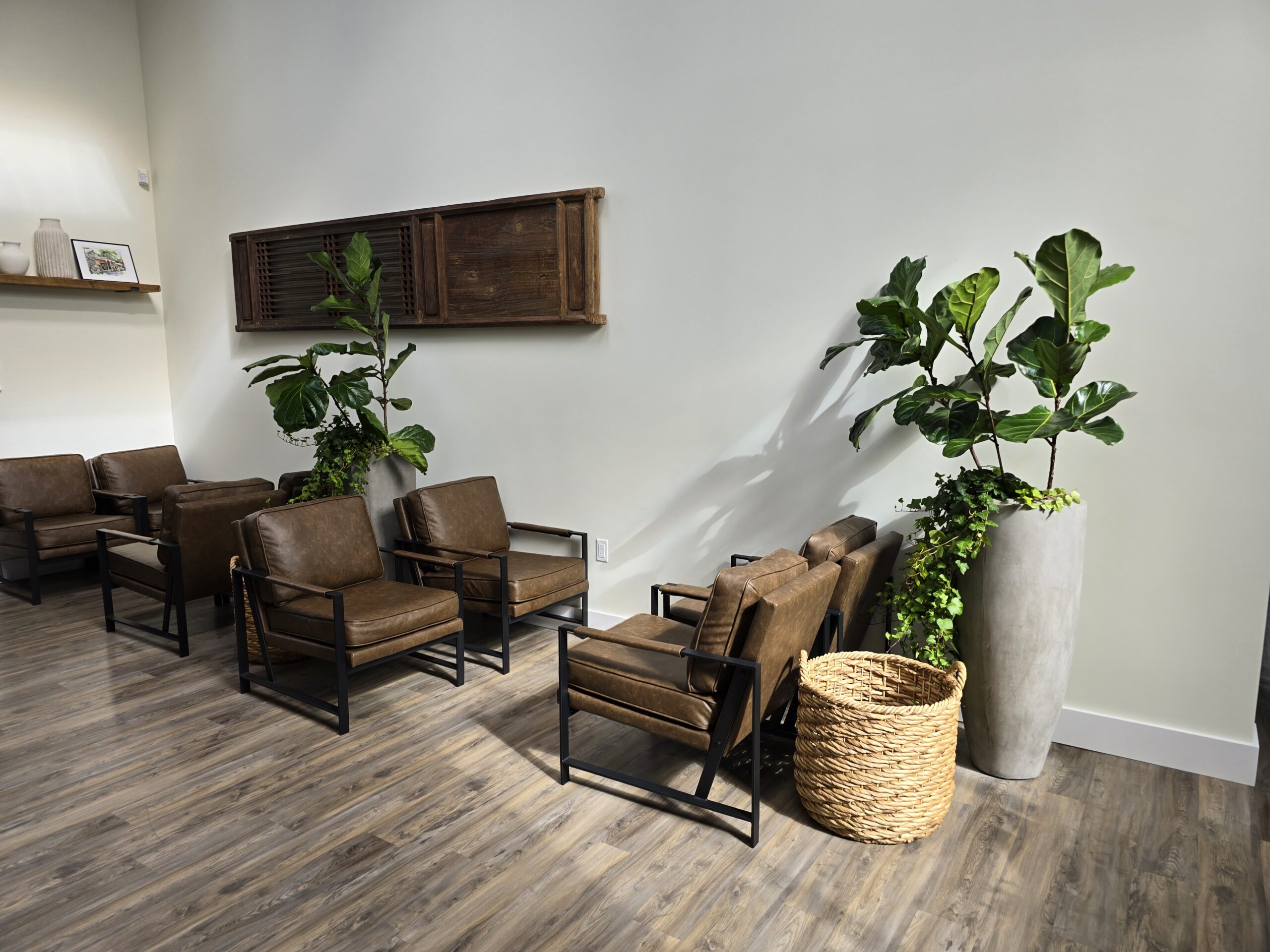 Indoor plants in medical office waiting room with natural light in San Diego