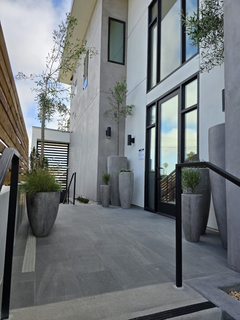 Modern commercial building exterior with olive tree and drought-tolerant plants in tall concrete planters, showcasing architectural plantscaping design