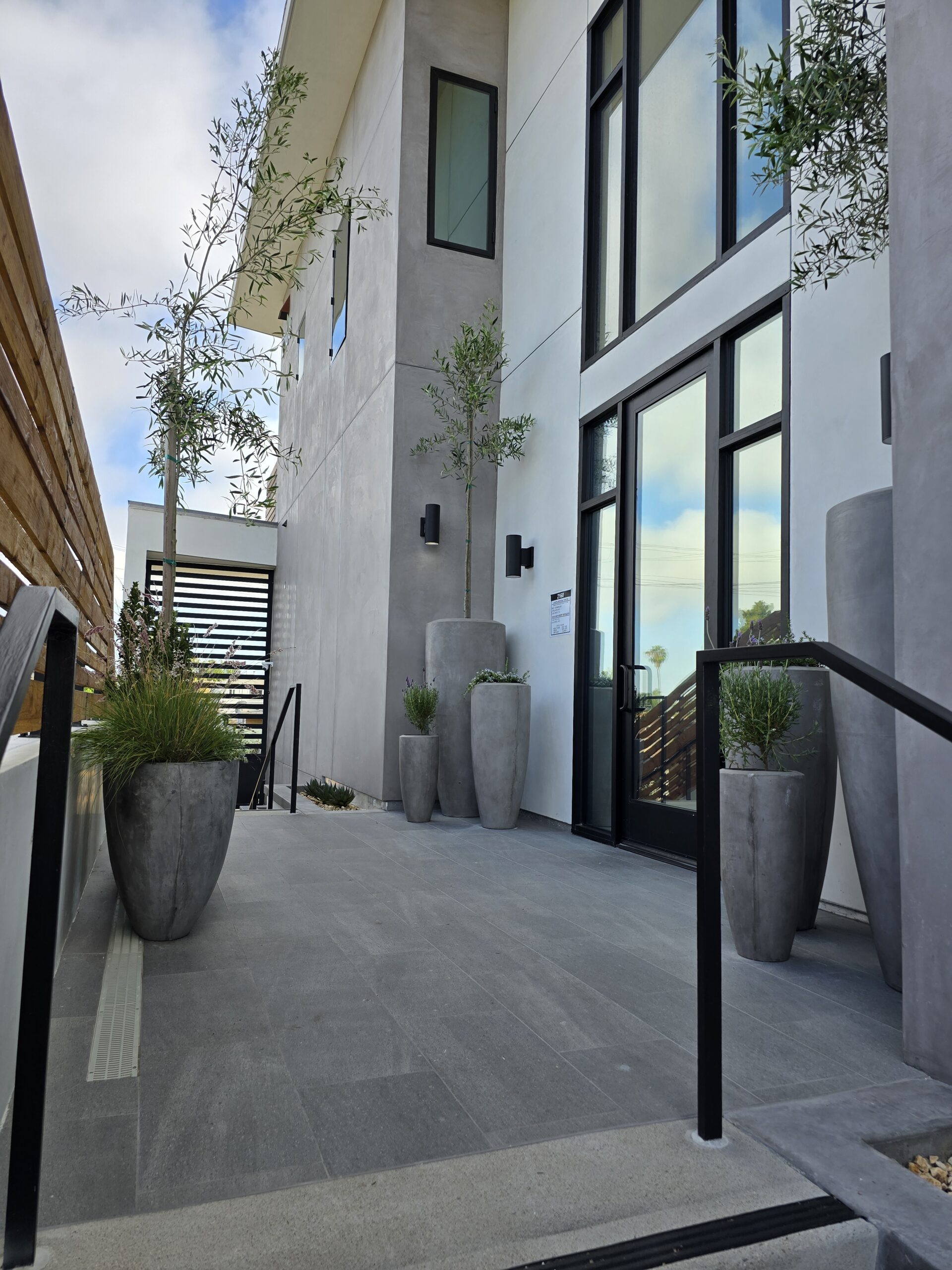 Modern commercial building exterior with olive tree and drought-tolerant plants in tall concrete planters, showcasing architectural plantscaping design