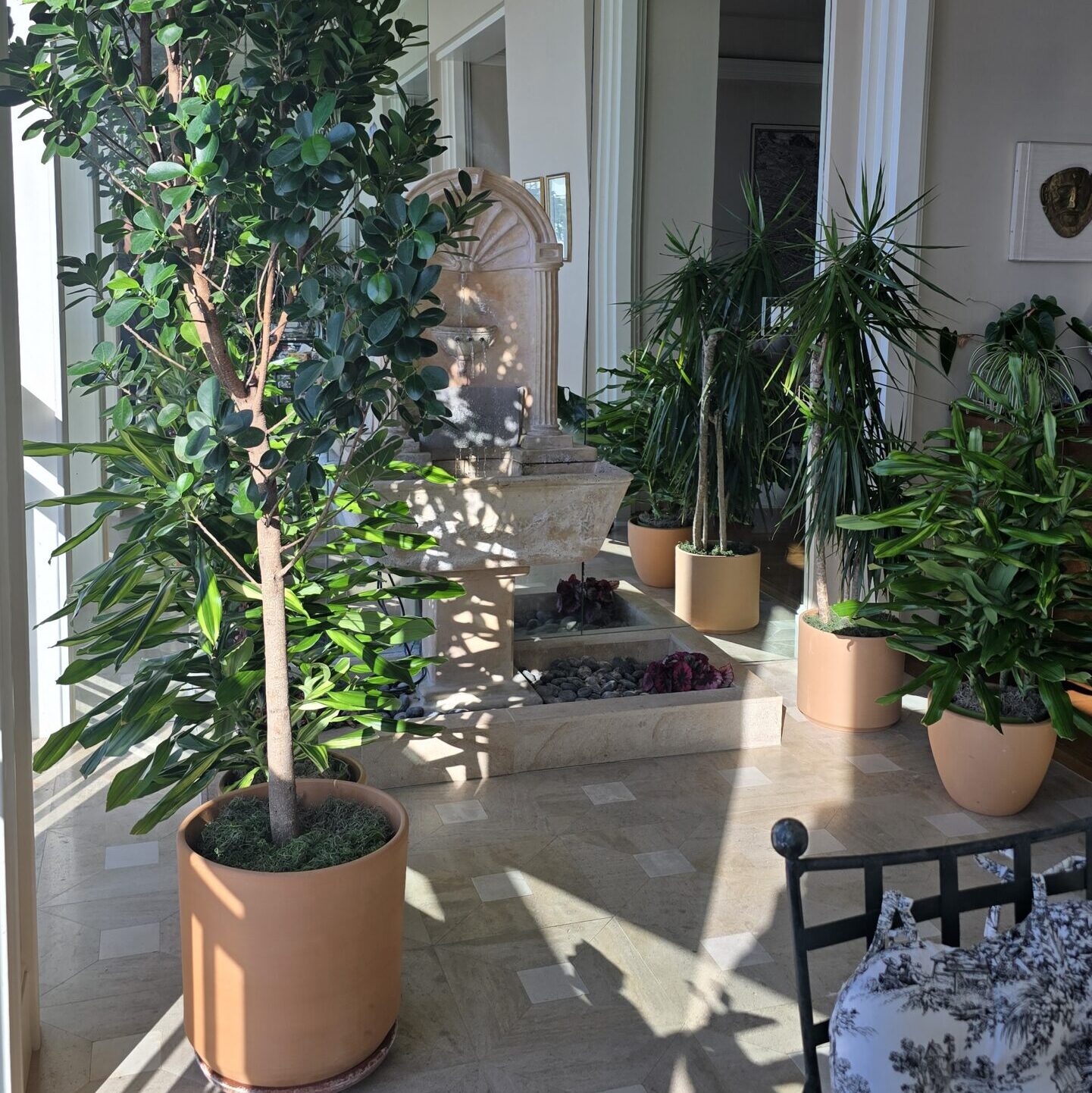 Large indoor statement plants styled in modern planters surrounding a decorative fountain in a luxury San Diego home.