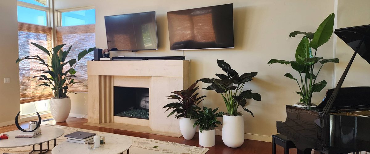 Interior Plant Services in La Jolla