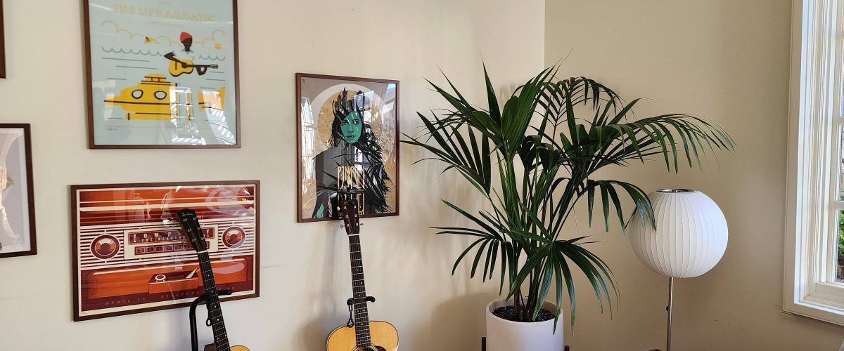 indoor plant services San Diego