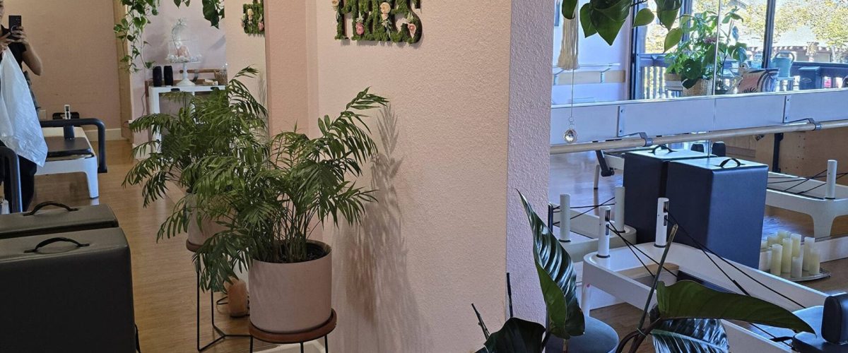 Interior Plant Services in Carmel Valley