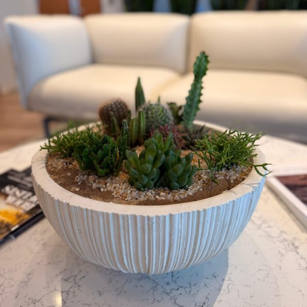 Succulent plant arrangement on table in medical office waiting area in San Diego