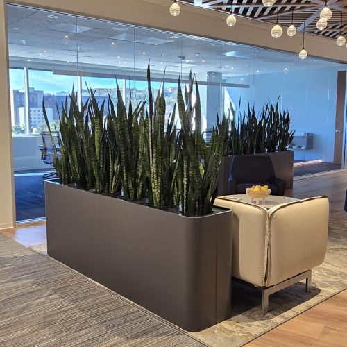 Modern commercial interior with minimalist design, featuring clean lines, neutral tones, and contemporary styling for office or professional spaces.