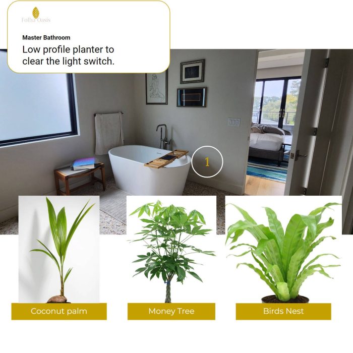 design_proposal_redo_1_1711332585