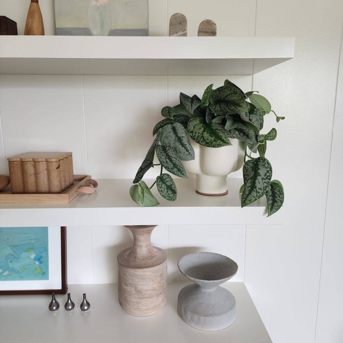 Interior Plant Services in Scripps Ranch